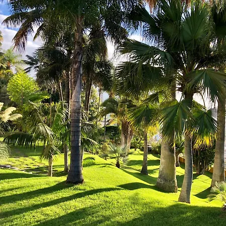 Tigaiga 4* 拉克鲁斯