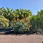 Tigaiga